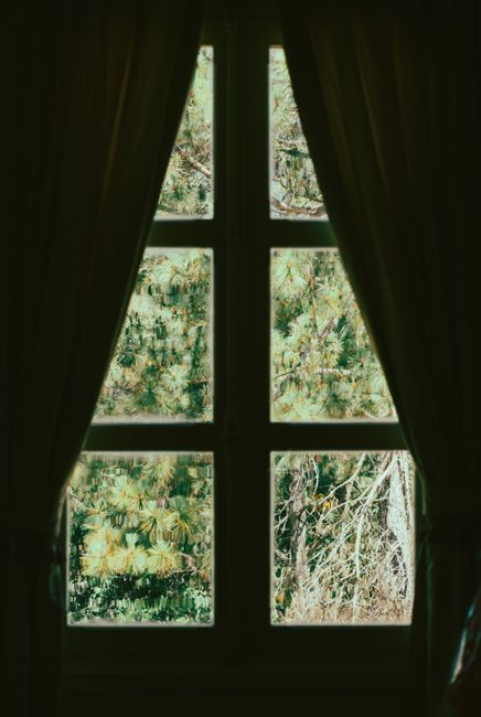 Peaceful nature view through a window partially framed by dark curtains. Ideal for contemplative themes.