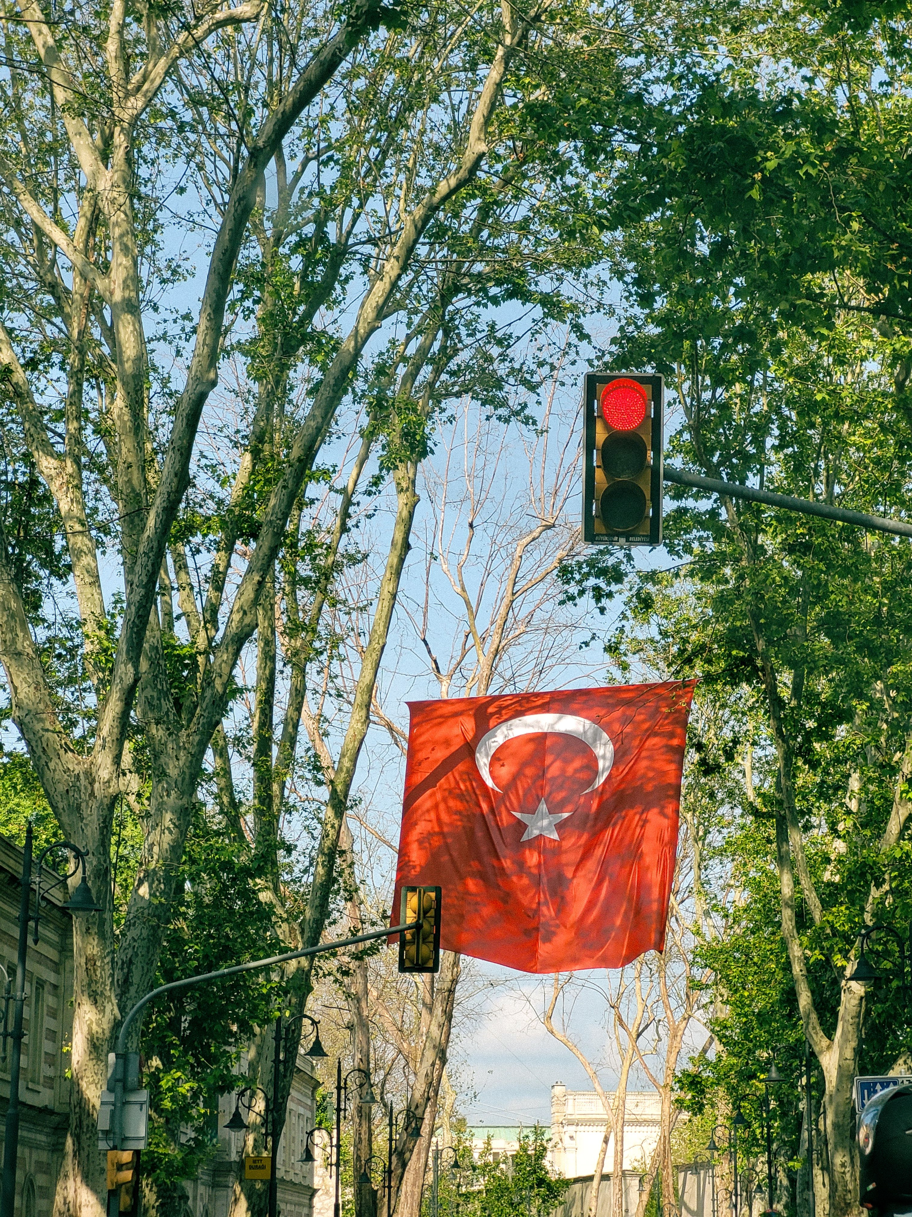Turkish Flag among Trees around Street in Istanbul · Free Stock Photo