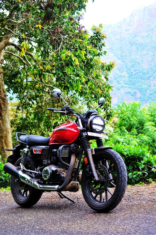 Modern Motorbike near Green Tree in Mountains Landscape