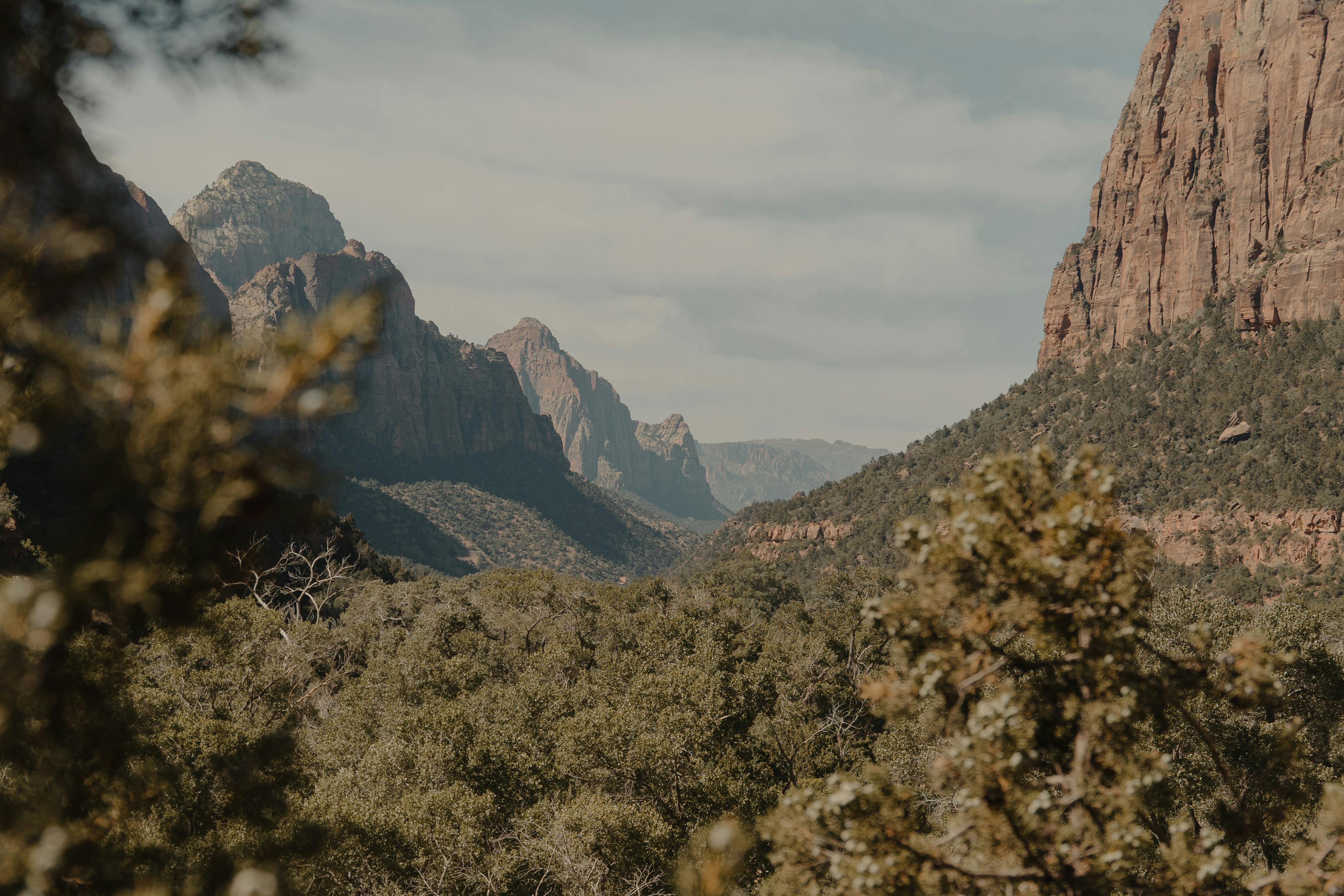 Zion National Park Lodge - zion lodging