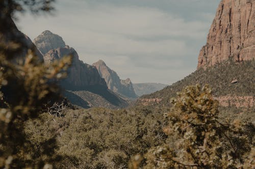 Free Canyon in Zion National Park Stock Photo