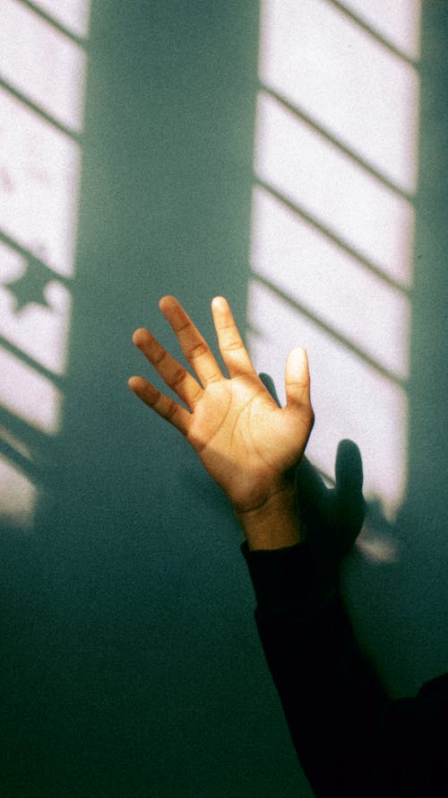 Free A Human Hand in Sunlight Stock Photo