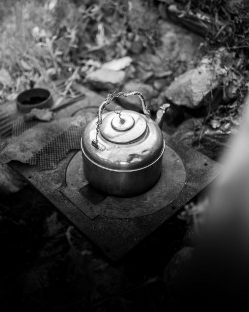 Free Black and white photo of a kettle on a makeshift outdoor stove in a forest setting. Stock Photo