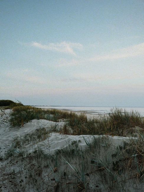 Serene sandy beach in Estonia with grassy dunes under a calming sunset sky, perfect for relaxation.