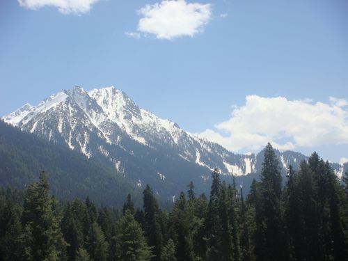 Free Serene view of snowcapped mountains and pine forest under clear blue sky. Stock Photo