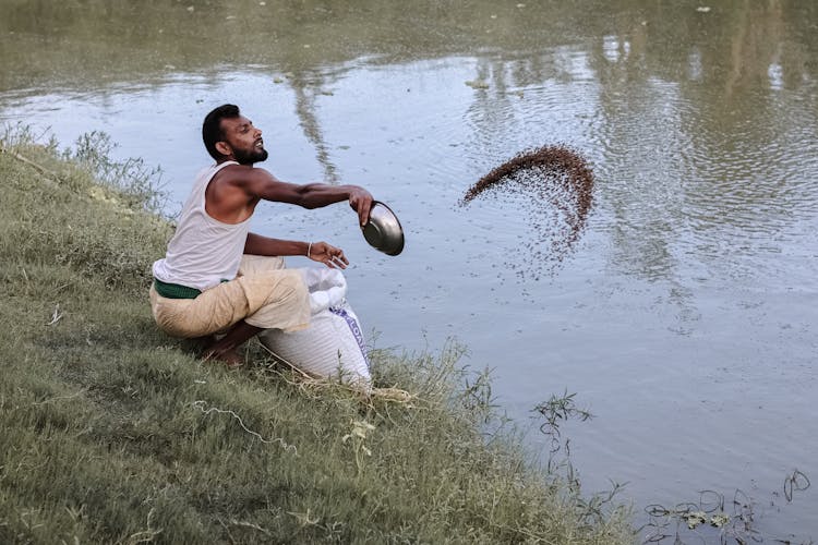 Man Feeding Fish In Pond