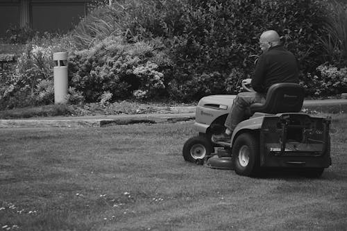 무료 잔디 깎는 기계를 타는 남자 스톡 사진