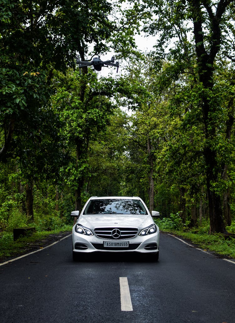 White Mercedes E Class On Road In Forest