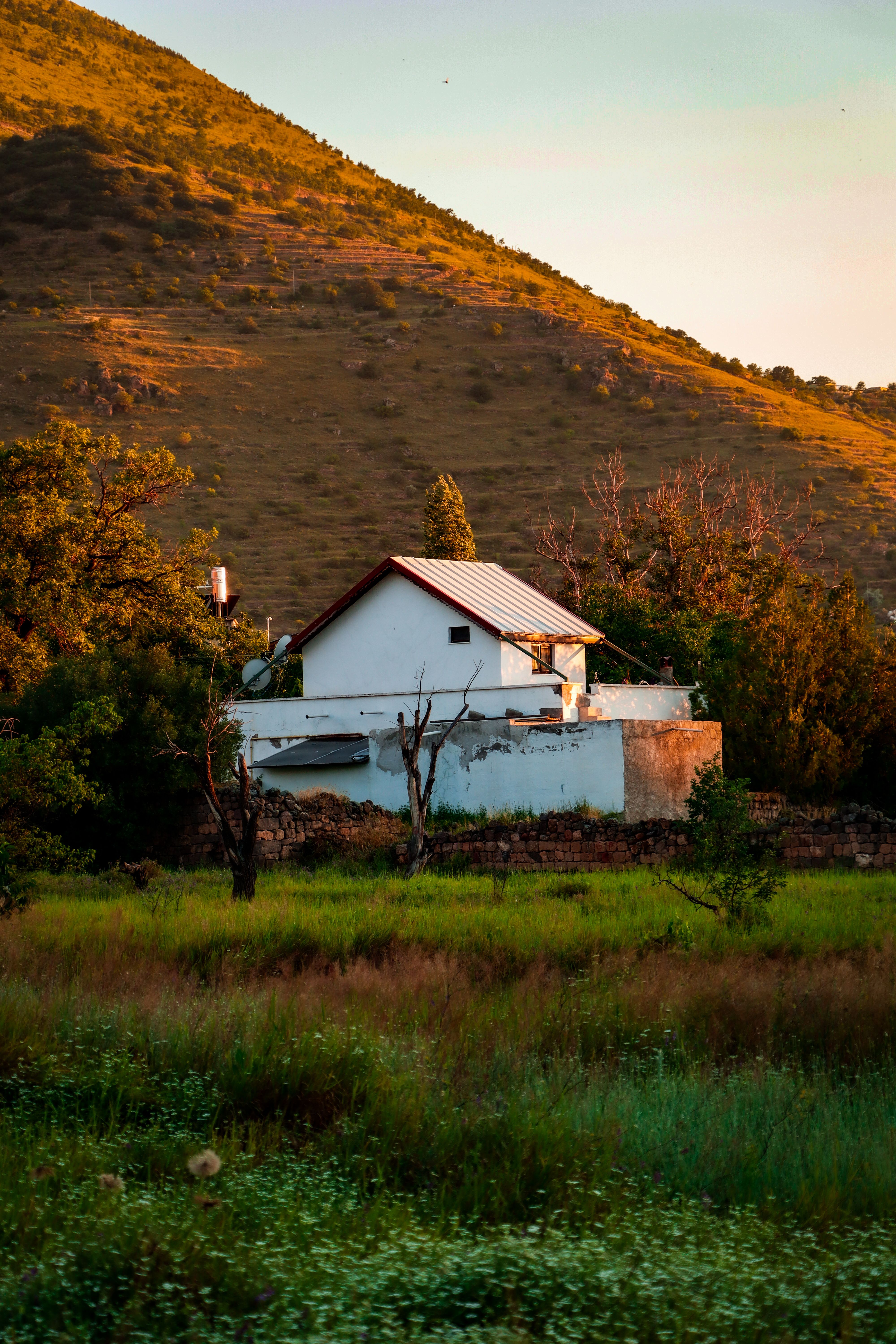 Gratis Immagine gratuita di agrario, alberi, architettura Foto a disposizione