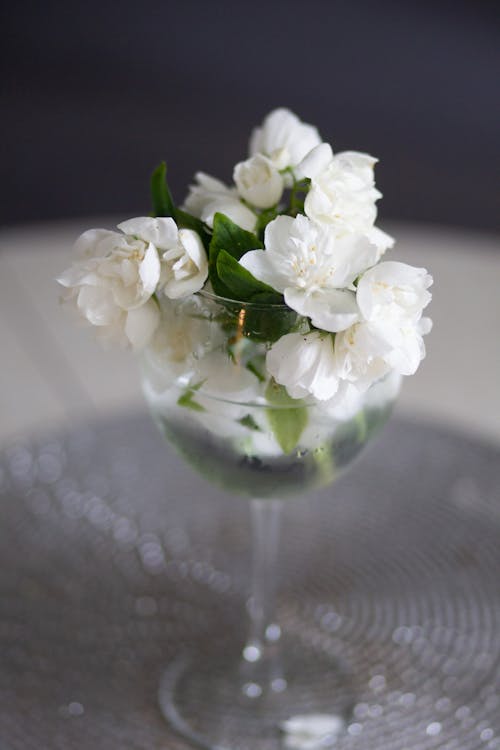 White Flowers in Glass