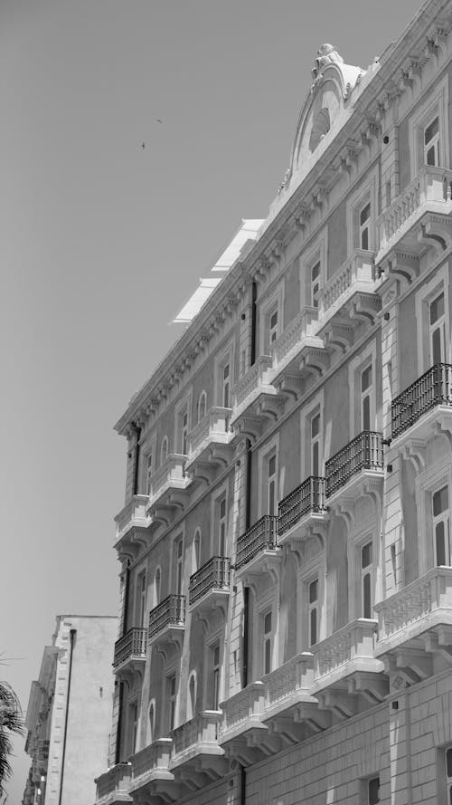 Imagine de stoc gratuită din alb-negru, casa de locuit, clădire istorică