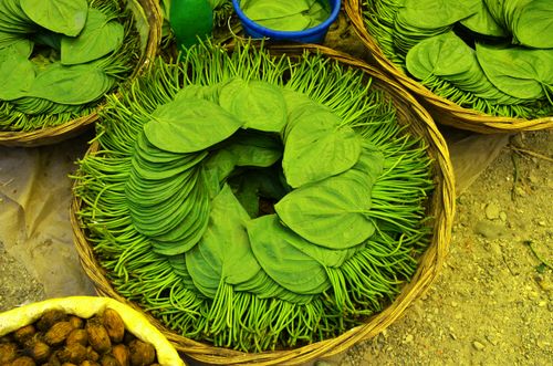 Free High angle view of fresh betel leaves arranged in wicker baskets at Madhya Madarihat market, India. Stock Photo