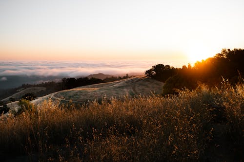 夕方, 山頂, 日光の無料の写真素材