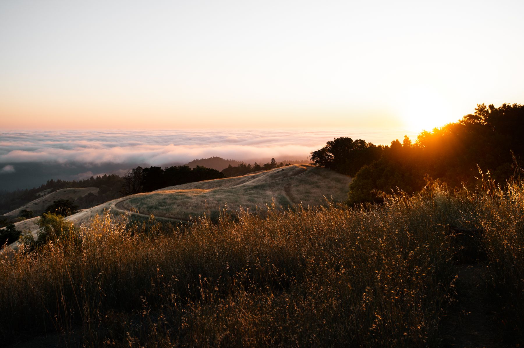 Golden hour over a coastal ridge above the fog — Matvey Jenssen on Pexels