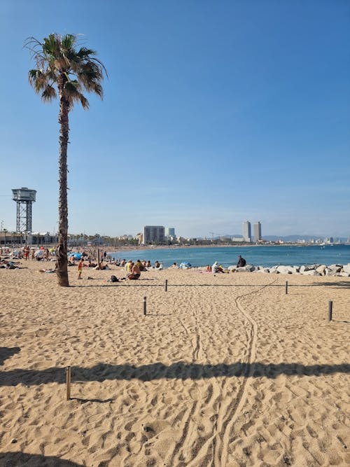 People Sunbathing on the Beach in Barcelona, Spain 