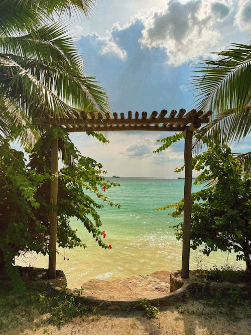 View of the Sea between Palm Trees