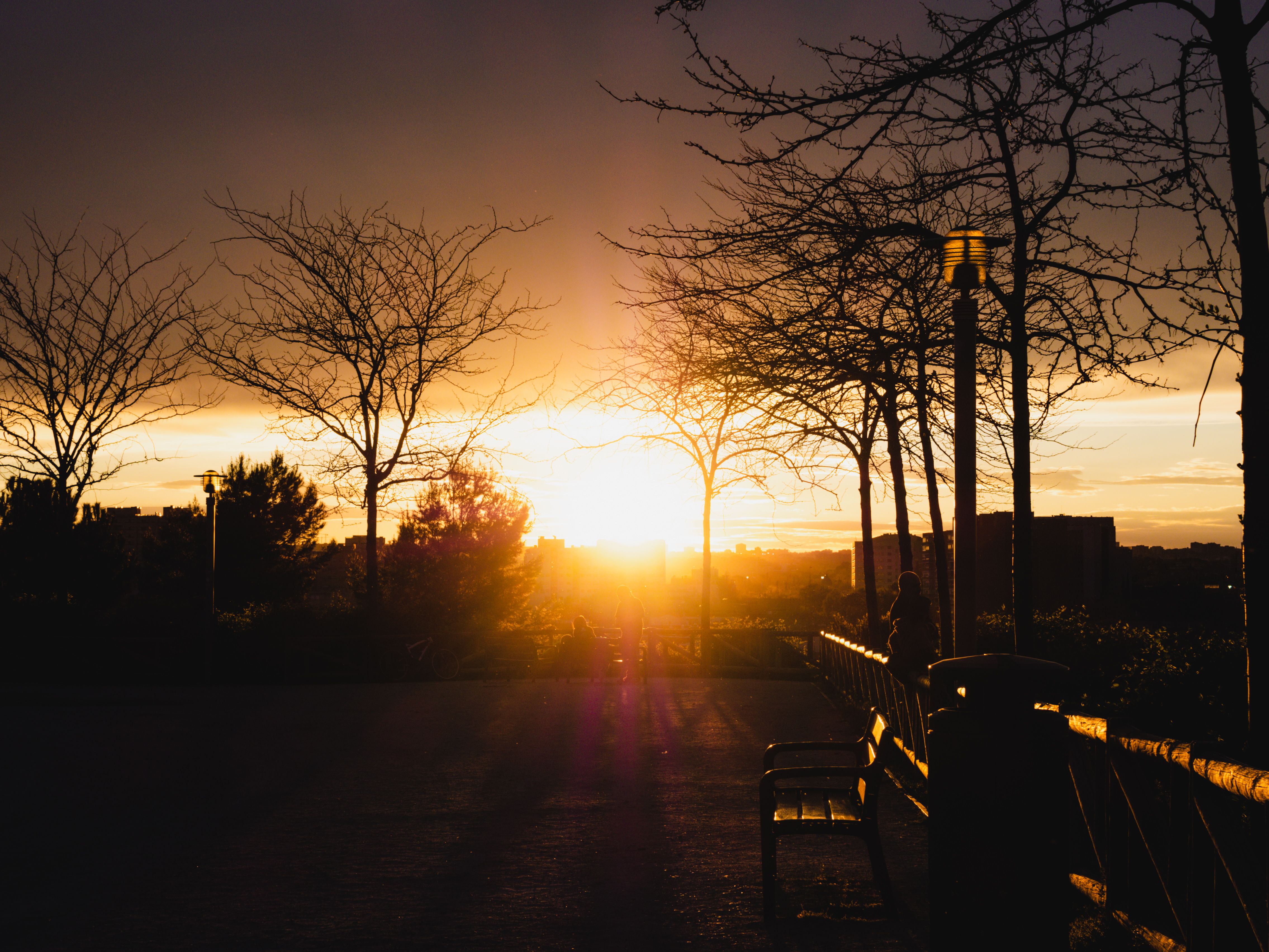 Glowing sunset scene in Madrid highlighting silhouetted trees and urban scenery, creating a tranquil atmosphere.