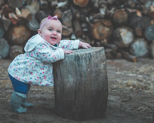 Free Toddler in White and Pink Jacket Standing Beside Wood Log Stock Photo