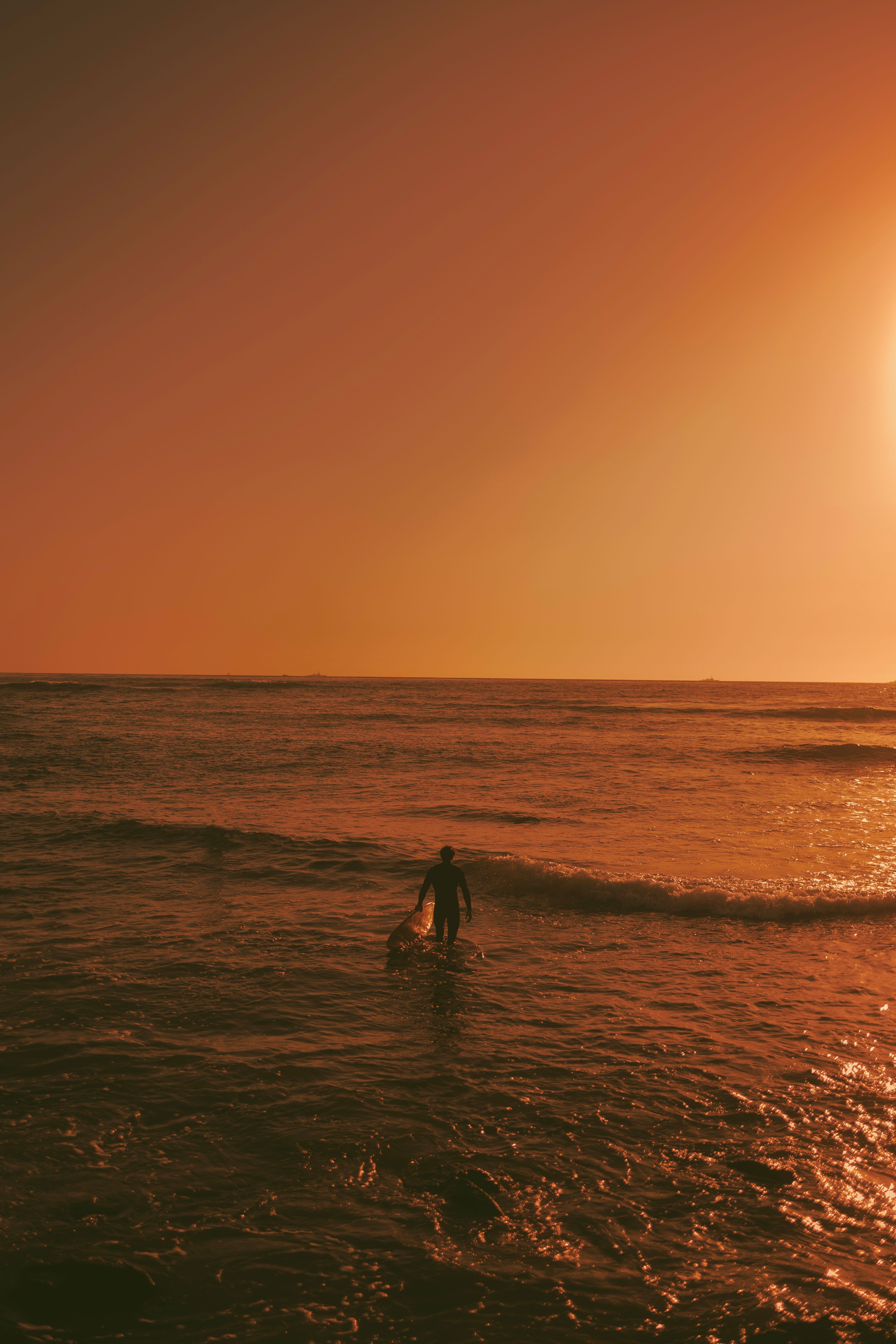 Surfer at Golden Sunset · Free Stock Photo