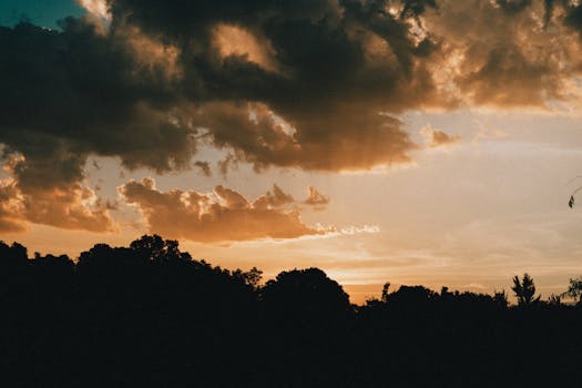 Captivating sunset with dramatic clouds silhouetting the tree line for a serene view.