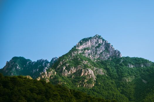 Majestic mountain range with lush greenery under a bright clear blue sky.