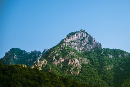 Free View of a Mountain Range and Trees  Stock Photo