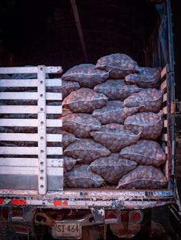 A truck loaded with sacks of potatoes, highlighting transportation and logistics.
