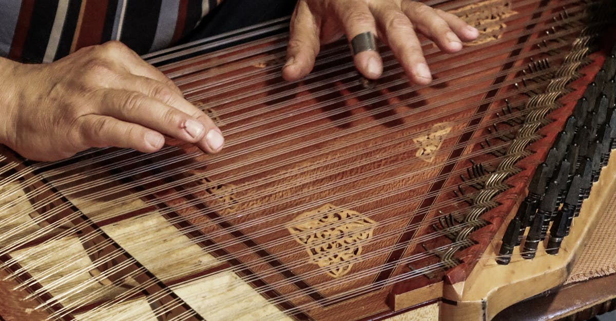 Man Playing the Traditional Turkish Instrument · Free Stock Photo
