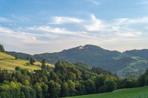 View of Forest and Hills in a Rural Landscape 