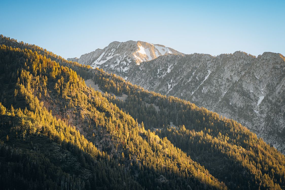 Wooded Ridges Forested Mountain Ridge · Free Stock Photo