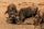 wildebeest