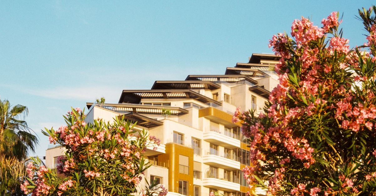 Spring Trees with Building behind · Free Stock Photo