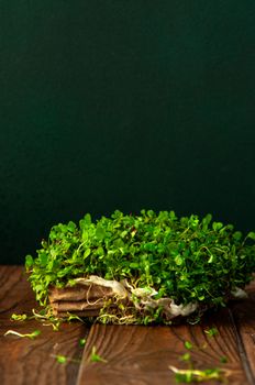 A vibrant bunch of green microgreens sitting on a wooden surface with a dark background.