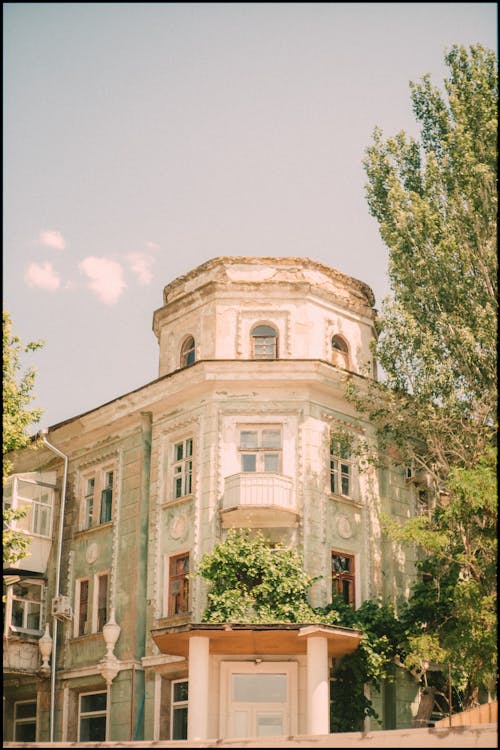 Fotos de stock gratuitas de árbol, edificio, polaroid