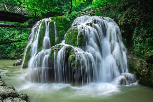 Water Flowing into River in Forest