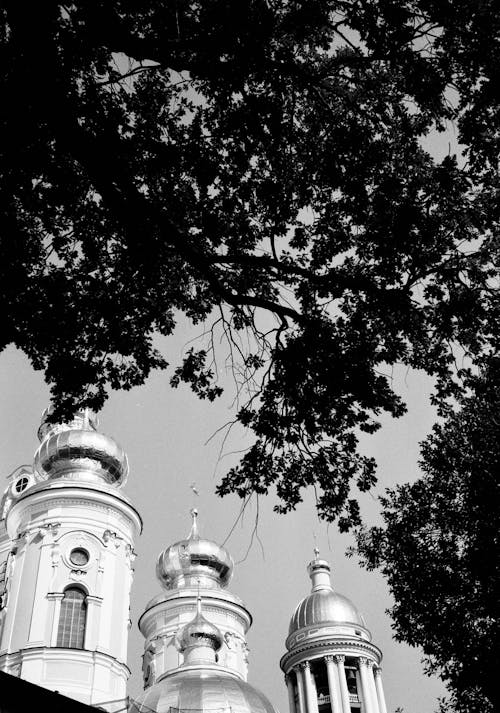 Tree Foliage over Temple Towers