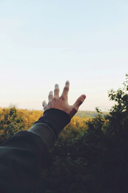 A hand reaching out amid a lush green forest under a clear blue sky, capturing freedom and aspiration.