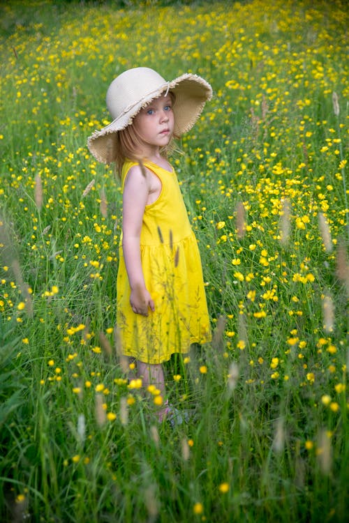 Gratis stockfoto met bloemen, gele jurk, hoed