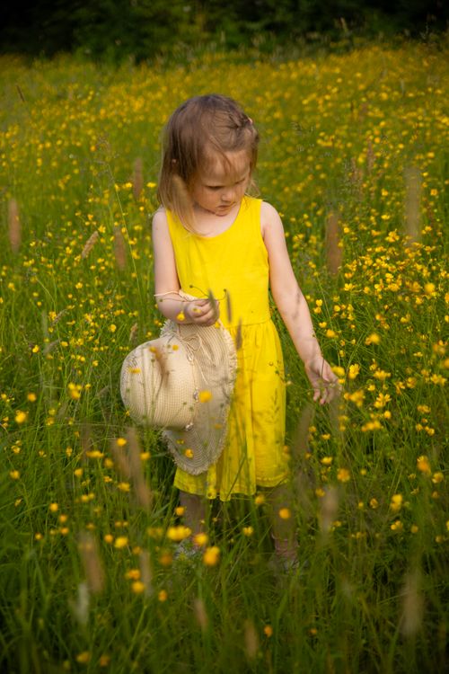 Free A young girl in a yellow dress holding a hat, surrounded by vibrant yellow flowers in a sunny meadow. Stock Photo