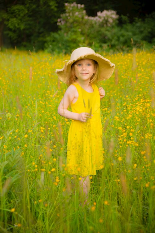 Gratis stockfoto met bomen, gele bloemen, gele jurk