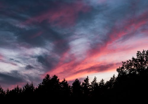 Kostnadsfri bild av dramatisk himmel, kväll, park