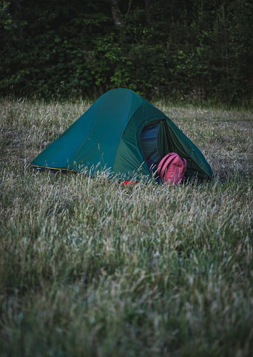 Tent on Grassland