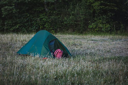 Gratis stockfoto met avontuur, backpack, bomen