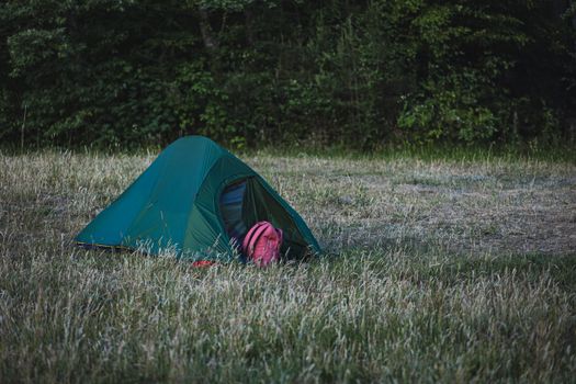 Green tent set up in a peaceful grassy field near forest edge, perfect for camping adventures.