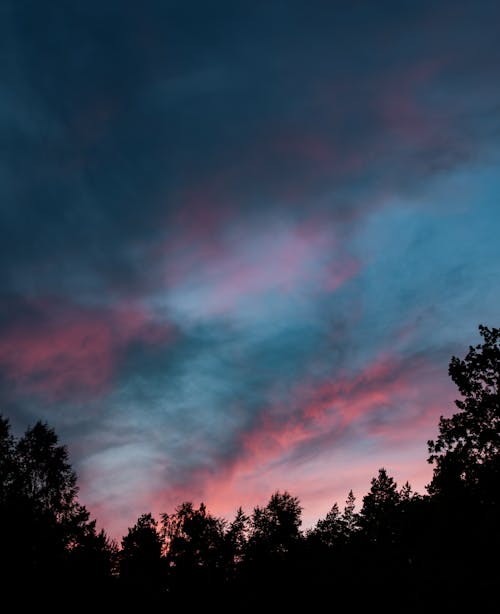 A colorful sunset over the trees and sky