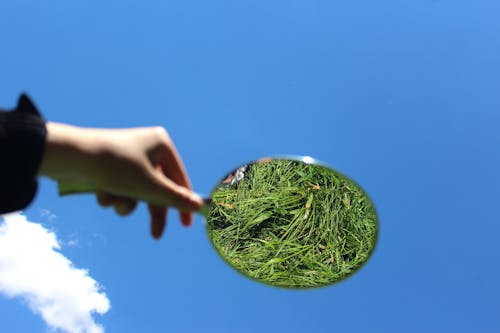 Hand Mirror against Blue Sky Reflecting Grass