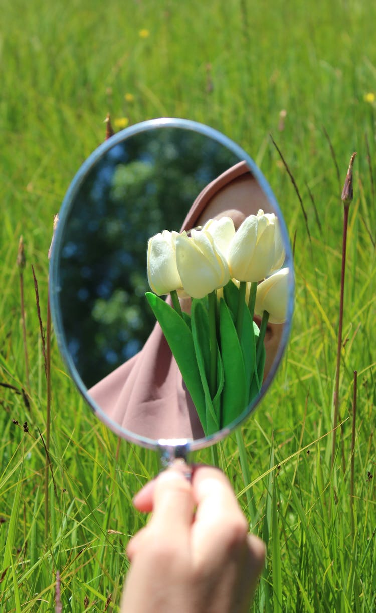 Tulips Reflecting In Hand Mirror