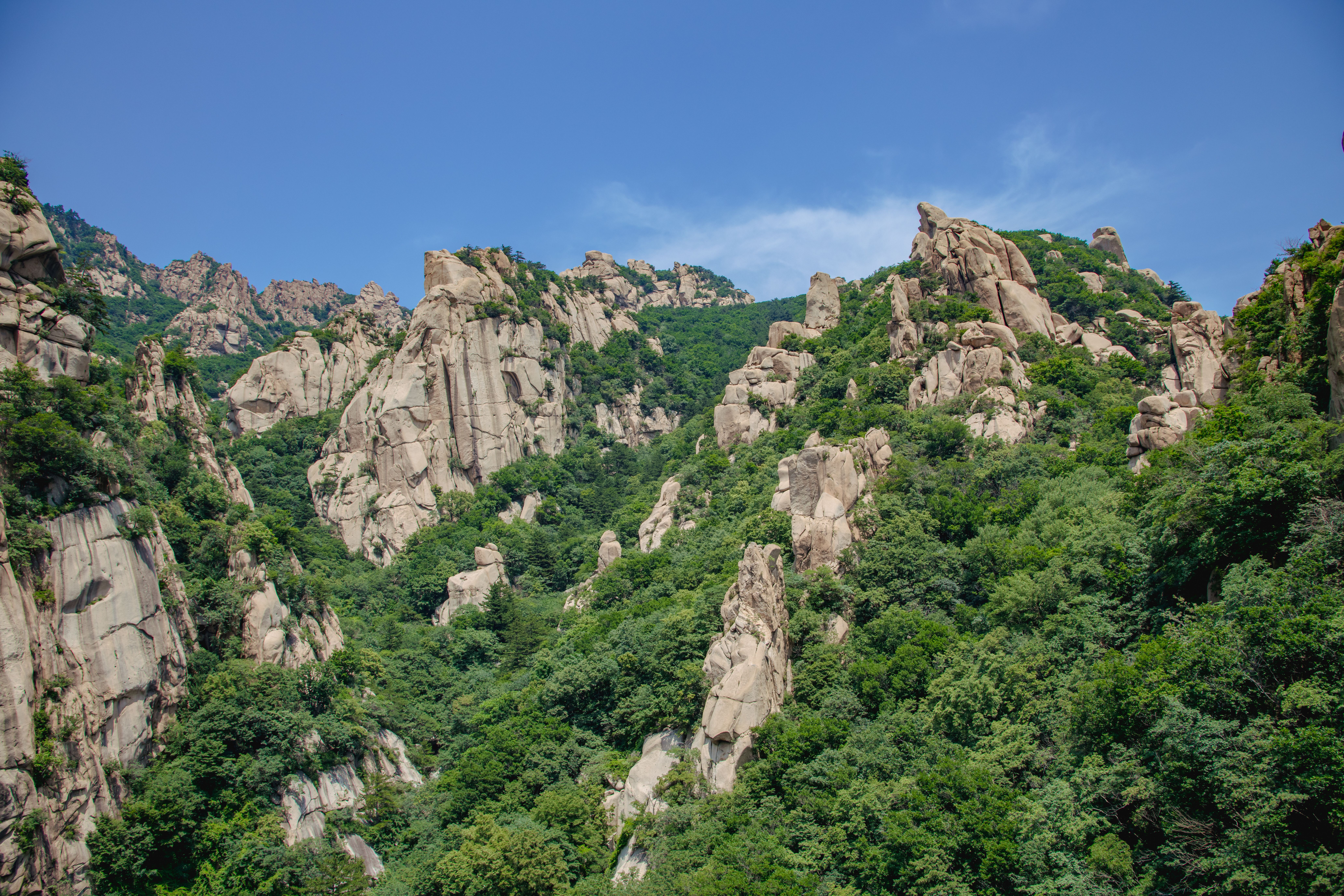 View of Rocky Mountains and Trees under Blue Sky · Free Stock Photo
