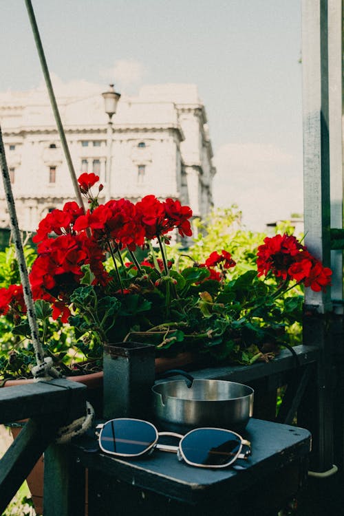 balkon, balkonlar, Çiçekler içeren Ücretsiz stok fotoğraf