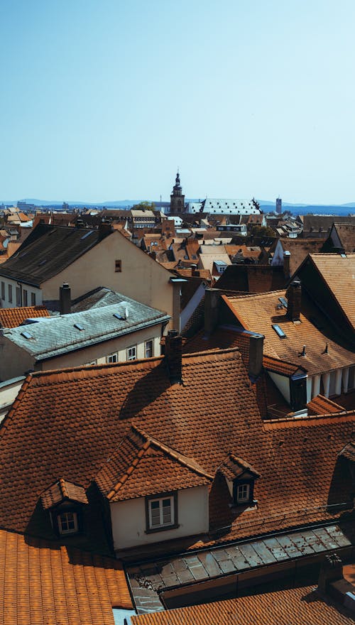 Sunlit Roofs of Buildings in Town